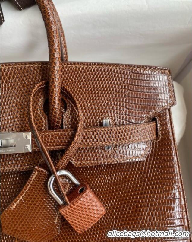 Best Quality Hermes Birkin 25 Bag in Shiny Varanus Niloticus Lizard Leather HB25 Chocolate Brown/Silver 2025 (Full Handm