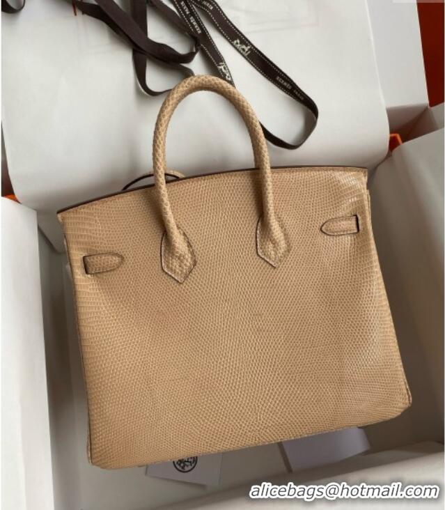 Promotional Hermes Birkin 25 Bag in Original Shiny Lizard Leather HB25 Apricot/Silver 2025 (Full Handmade)