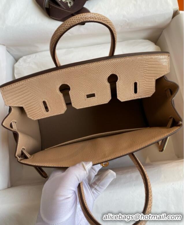 Top Grade Hermes Birkin 25 Bag in Original Shiny Lizard Leather HB25 Apricot/Gold 2025 (Full Handmade)