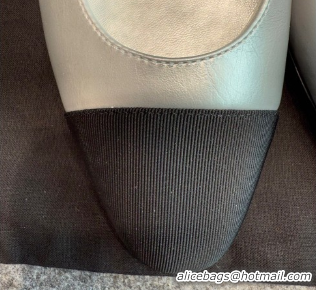 Top Design Chanel Metallic Leather & Grosgrain Slingback Flats G31319 Silver/Black