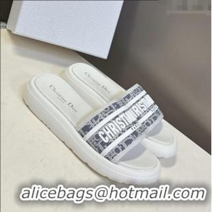 Spot Bulk Dior Dioriviera Dway Flat Slides Sandal in Chambray Blue Jacquard with Ecru Raffia Oblique Motif and White Rub