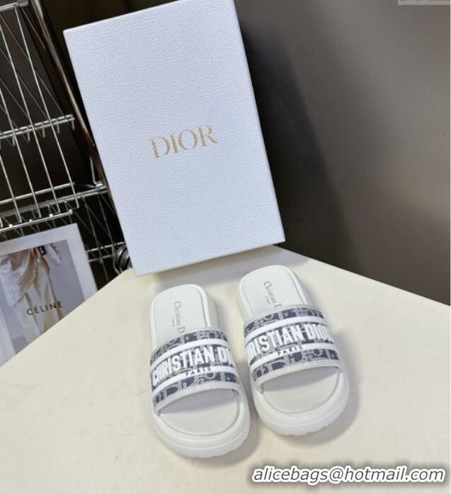 Spot Bulk Dior Dioriviera Dway Flat Slides Sandal in Chambray Blue Jacquard with Ecru Raffia Oblique Motif and White Rub