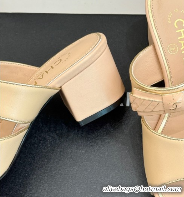 Buy Ladies Chanel Calfskin Heel Slides Sandal with Bow Beige 2025 CH071403