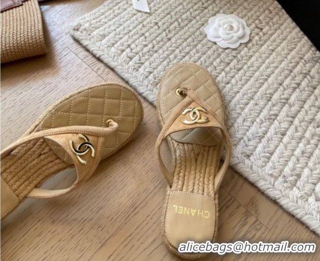 Feminine Chanel Suede Flat Thong Slides Sandal Beige 2025P CH071510