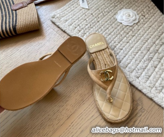 Feminine Chanel Suede Flat Thong Slides Sandal Beige 2025P CH071510