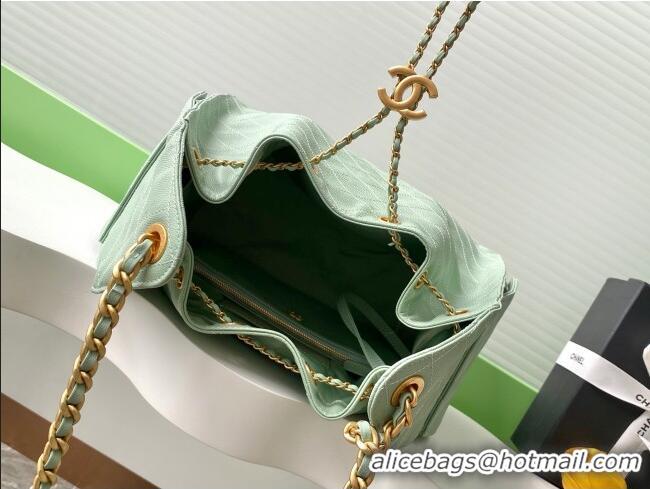 Market Sells Chanel Grained Calfskin Medium Hobo Bag AS5311 Light Green 2025
