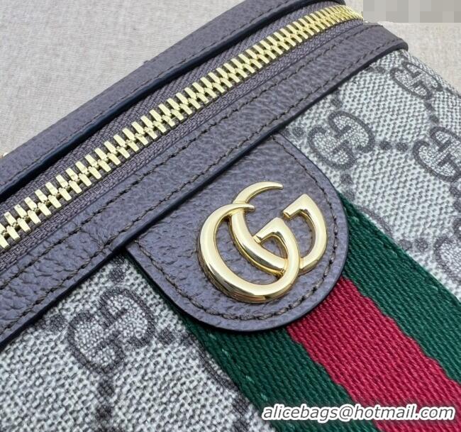 Luxury Classic Gucci Ophidia GG Canvas Belt Bag with Web 699765 2024