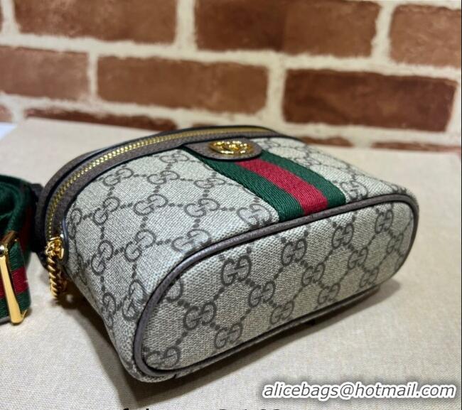 Luxury Classic Gucci Ophidia GG Canvas Belt Bag with Web 699765 2024