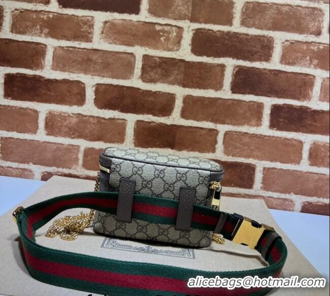 Luxury Classic Gucci Ophidia GG Canvas Belt Bag with Web 699765 2024