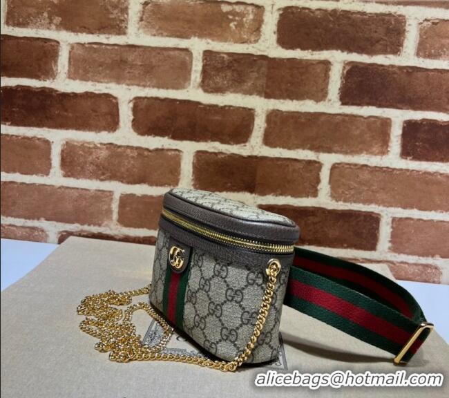 Luxury Classic Gucci Ophidia GG Canvas Belt Bag with Web 699765 2024