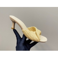 Luxury Bottega Veneta Blink Mid Heel Slides Sandal 6.5cm in Crochet Raffia Straw Beige 0428080
