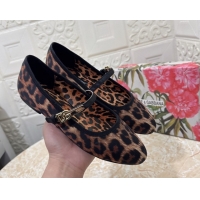 Best Price Dolce & G...