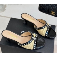 Sumptuous Chanel Straw-Like & Patent Calfskin Heel Slides Sandal with Strass Khaki/Black 2025 CH071404