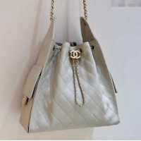 Market Sells Chanel Haas Grained Calfskin Medium Hobo Bag AS5311 Apricot 2025 Top Quality