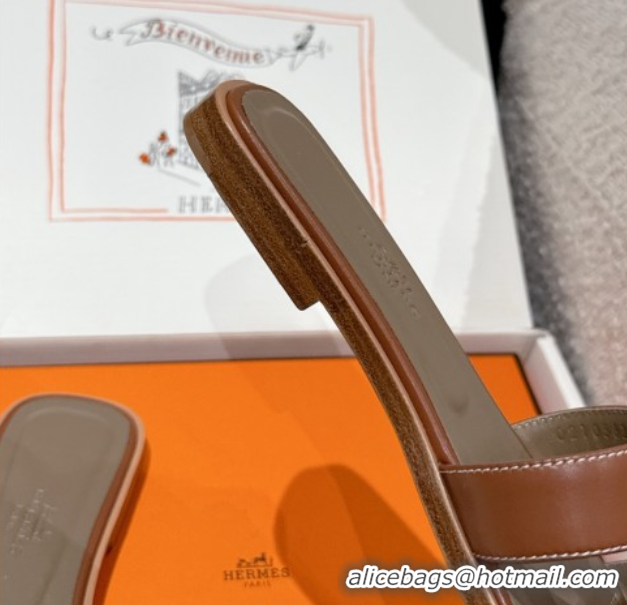 Best Price Hermes Classic Oran Flat Slides Sandal in Shiny Calfskin Brown 0606134