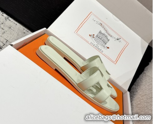 Low Cost Hermes Classic Oran Flat Slides Sandal in Shiny Calfskin Pale Green 0606128