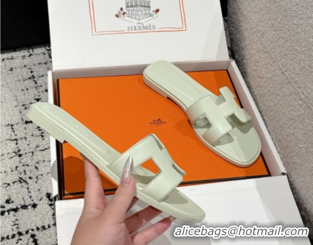 Low Cost Hermes Classic Oran Flat Slides Sandal in Shiny Calfskin Pale Green 0606128