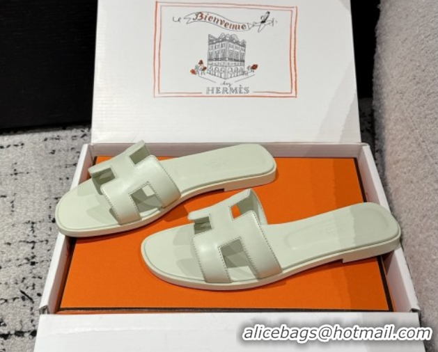 Low Cost Hermes Classic Oran Flat Slides Sandal in Shiny Calfskin Pale Green 0606128