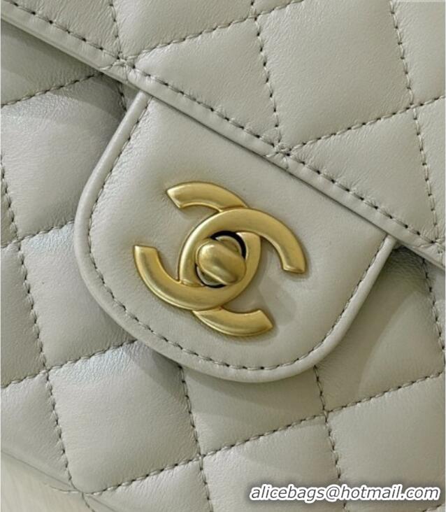 Pretty Style Chanel Lambskin Medium Flap Bag with Top Handle AS5356 Light Beige 2025 Top Quality