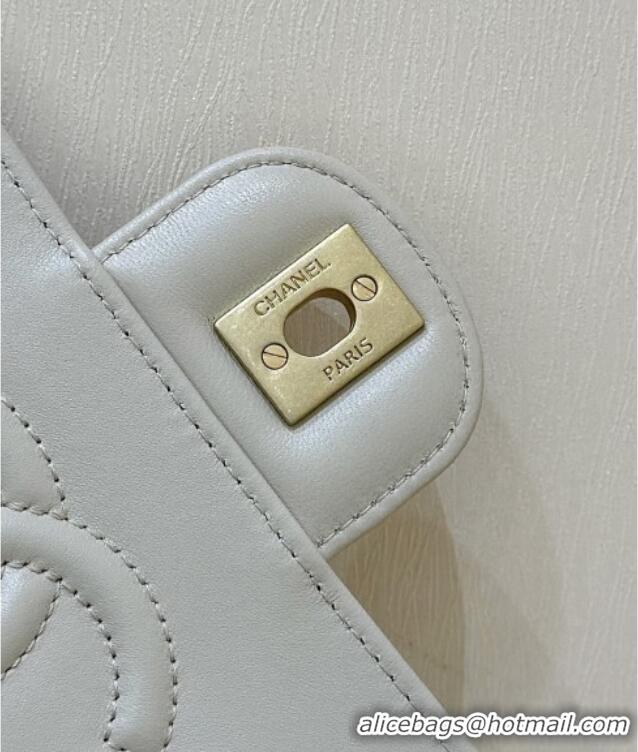 Pretty Style Chanel Lambskin Medium Flap Bag with Top Handle AS5356 Light Beige 2025 Top Quality