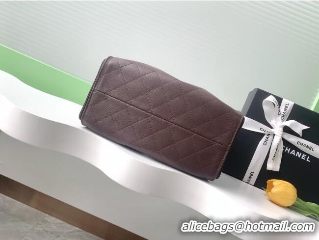 Shop Discount Chanel 25 Small Handbag in Grained Calfskin AS5293 Dark Coffee 2025