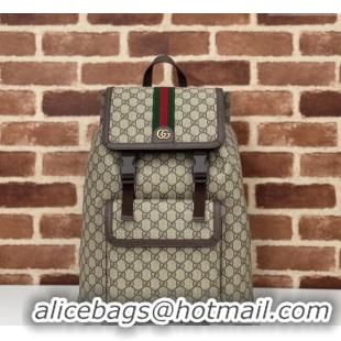 Buy Cheap Gucci Mens Ophidia GG Canvas Large Backpack bag 792104 Beige/Brown 2024