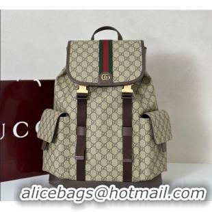 Best Quality Gucci Mens Ophidia large backpack bag 839110 2025