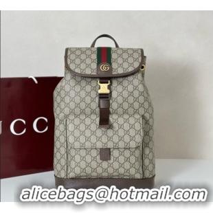 Famous Brand Gucci Ophidia GG Canvas Backpack Bag 839109 2025