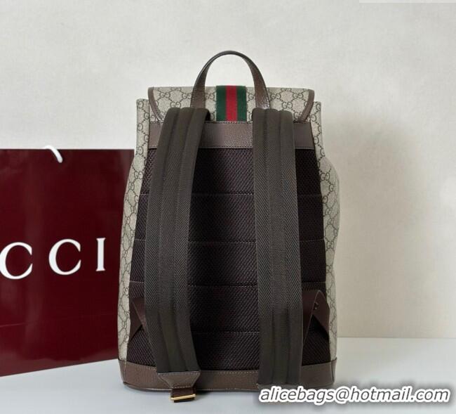 Famous Brand Gucci Ophidia GG Canvas Backpack Bag 839109 2025