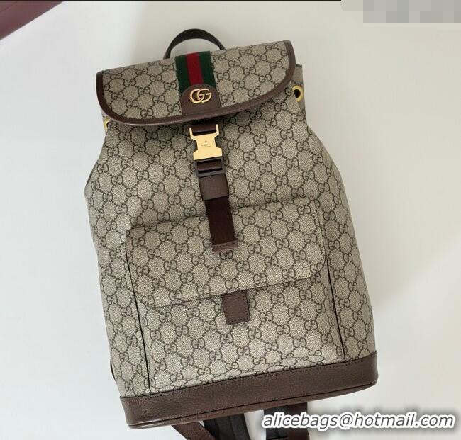 Famous Brand Gucci Ophidia GG Canvas Backpack Bag 839109 2025