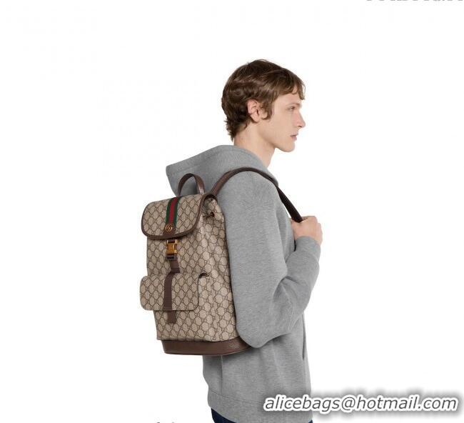 Famous Brand Gucci Ophidia GG Canvas Backpack Bag 839109 2025