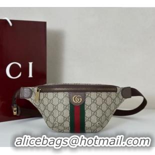 Grade Design Gucci Ophidia GG Canvas Small Belt Bag 839106 2025
