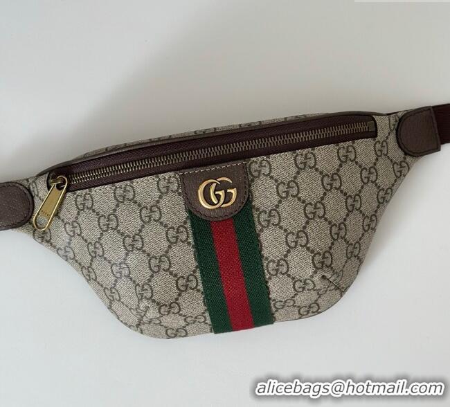 Grade Design Gucci Ophidia GG Canvas Small Belt Bag 839106 2025