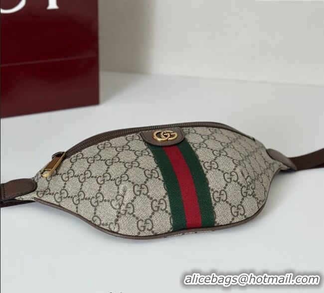 Grade Design Gucci Ophidia GG Canvas Small Belt Bag 839106 2025