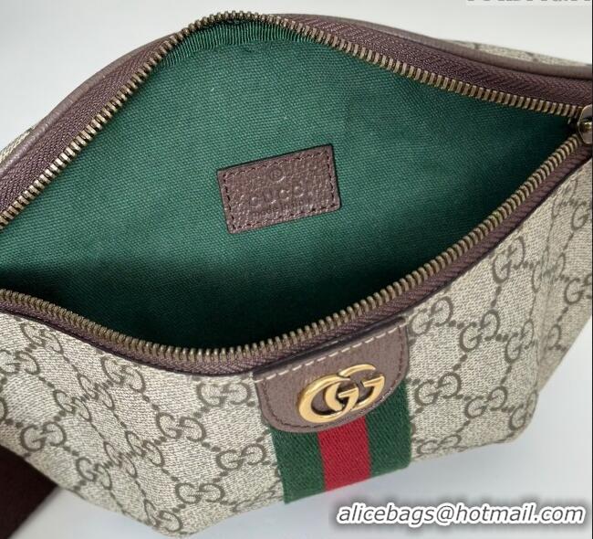 Grade Design Gucci Ophidia GG Canvas Small Belt Bag 839106 2025
