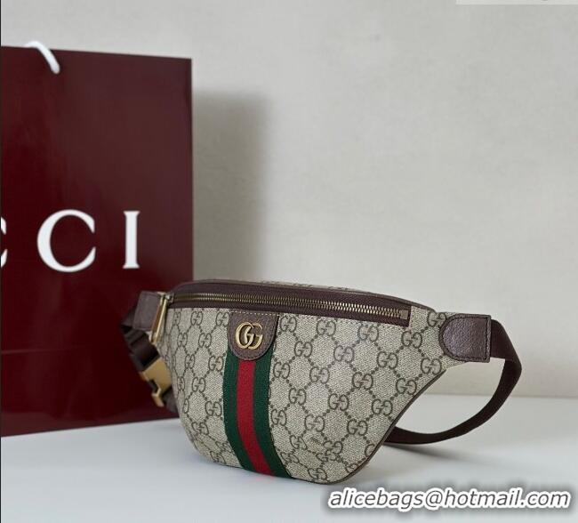 Grade Design Gucci Ophidia GG Canvas Small Belt Bag 839106 2025