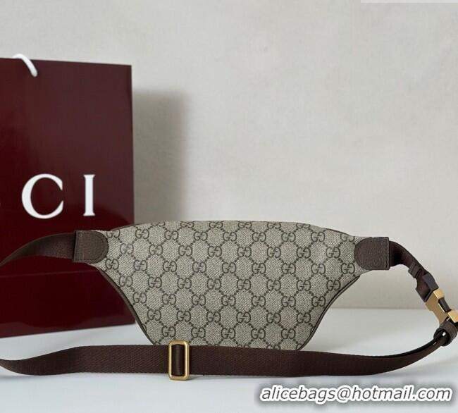 Grade Design Gucci Ophidia GG Canvas Small Belt Bag 839106 2025