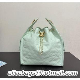 Low Price Chanel 25 Grained Calfskin Medium Handbag AS5311 Light Green 2025