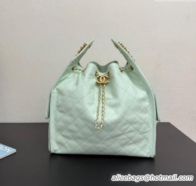 Low Price Chanel 25 Grained Calfskin Medium Handbag AS5311 Light Green 2025