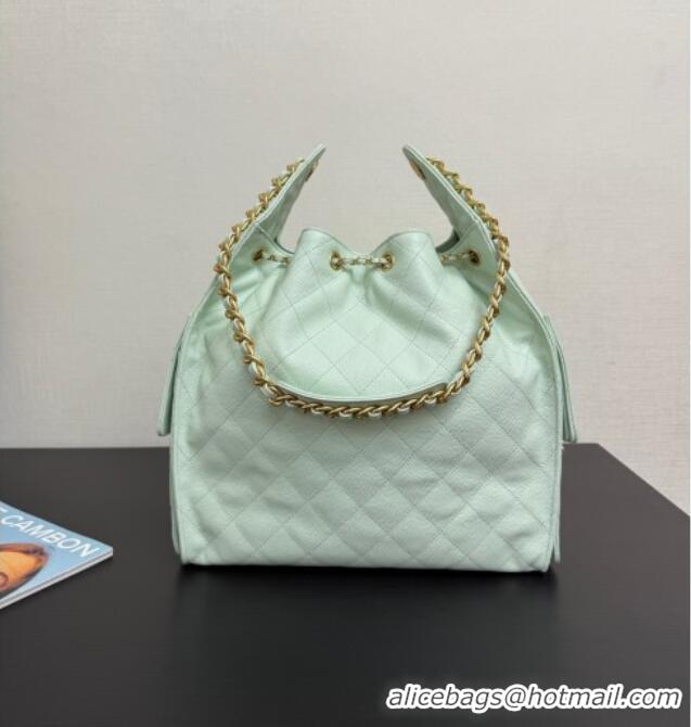 Low Price Chanel 25 Grained Calfskin Medium Handbag AS5311 Light Green 2025