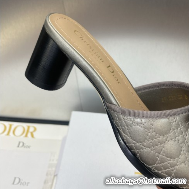 Unique Style Dior Oblique Leather Heeled Slides Sandal 6cm with Pearl Bow Grey 0710042