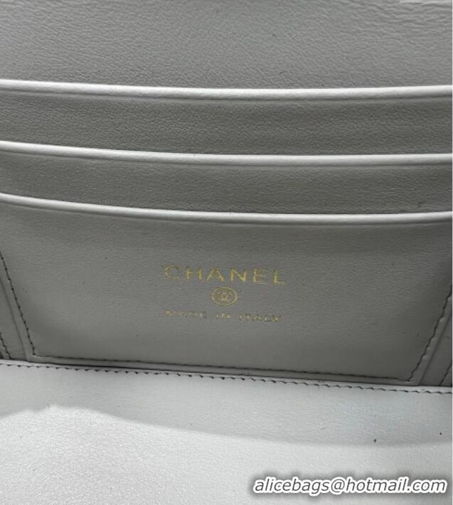 Pretty Style Chanel Grained Shiny Calfskin Classic Large Vanity with Chain AP1341 Grey 2025