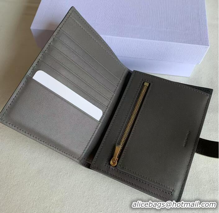Spot Bulk Celine Grained Calfskin Medium Strap Multifunction Wallet CE0201 Grey/White