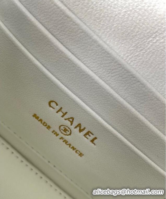 New Fashion Chanel Grainy Calfskin Large Vanity with CC Chain AP3940 White 2025