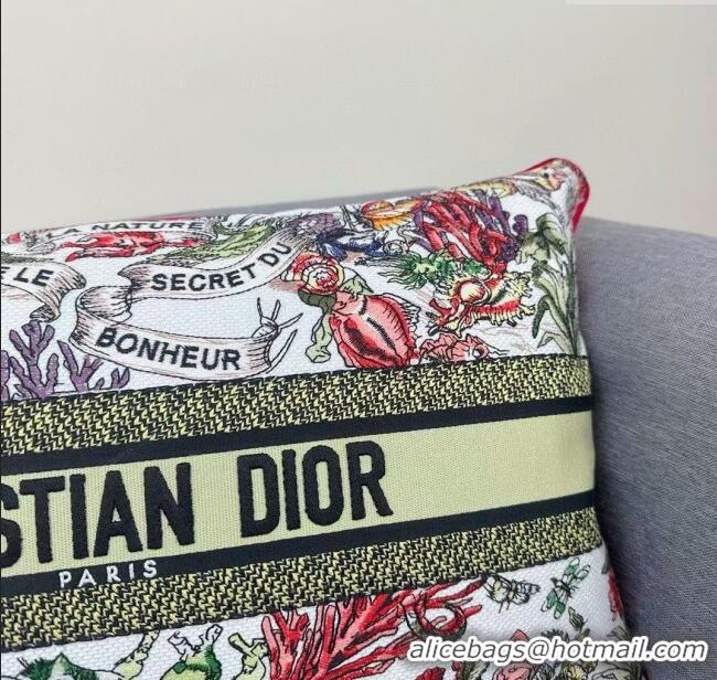 Discount Dior Embroidered Cotton Rectangular Pillow 30x50cm D060701 2025