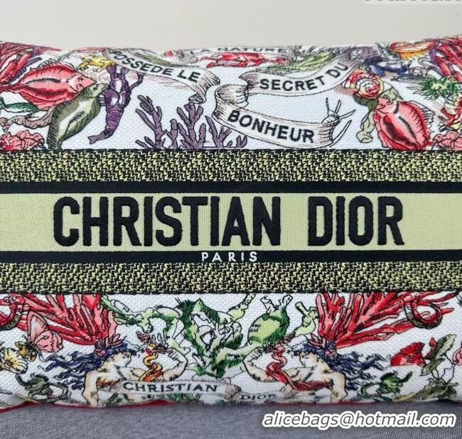 Discount Dior Embroidered Cotton Rectangular Pillow 30x50cm D060701 2025