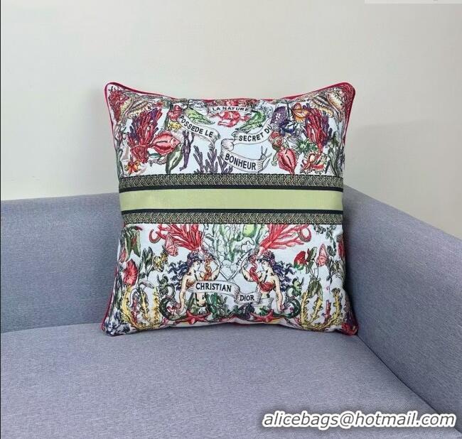 Unique Grade Dior Embroidered Cotton Square Pillow 50x50cm D060702 2025