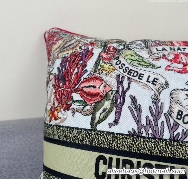 Unique Grade Dior Embroidered Cotton Square Pillow 50x50cm D060702 2025