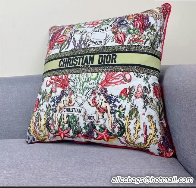 Unique Grade Dior Embroidered Cotton Square Pillow 50x50cm D060702 2025