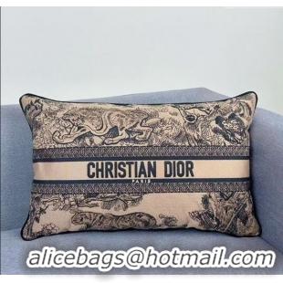 Big Discount Dior Embroidered Cotton Rectangular Pillow 30x50cm D060704 2025